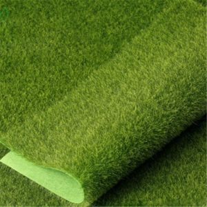 Green Product For the Home Or Garden