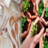Eco-Friendly Eco Friendly Gadgets For The Earth Conscious