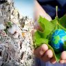 Sustainable Paper Project